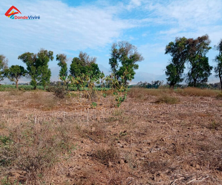 Los mejores terrenos para casas de campo en Trujillo