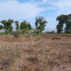 venta de terreno en laredo