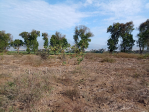 venta de terreno en laredo